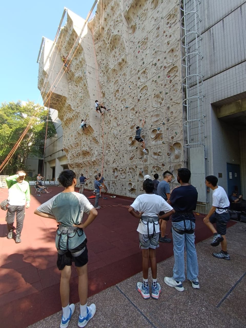 Young people in climbing harnesses, seen from behind, stand watching three climbers on ropes part-way up a tall outdoor climbing wall.